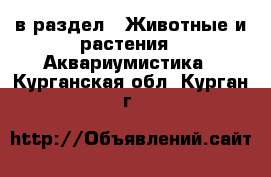  в раздел : Животные и растения » Аквариумистика . Курганская обл.,Курган г.